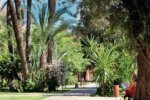 MARRKEN-jardin-sejours-kenzi-farah-urban-marrakech-tui (1)