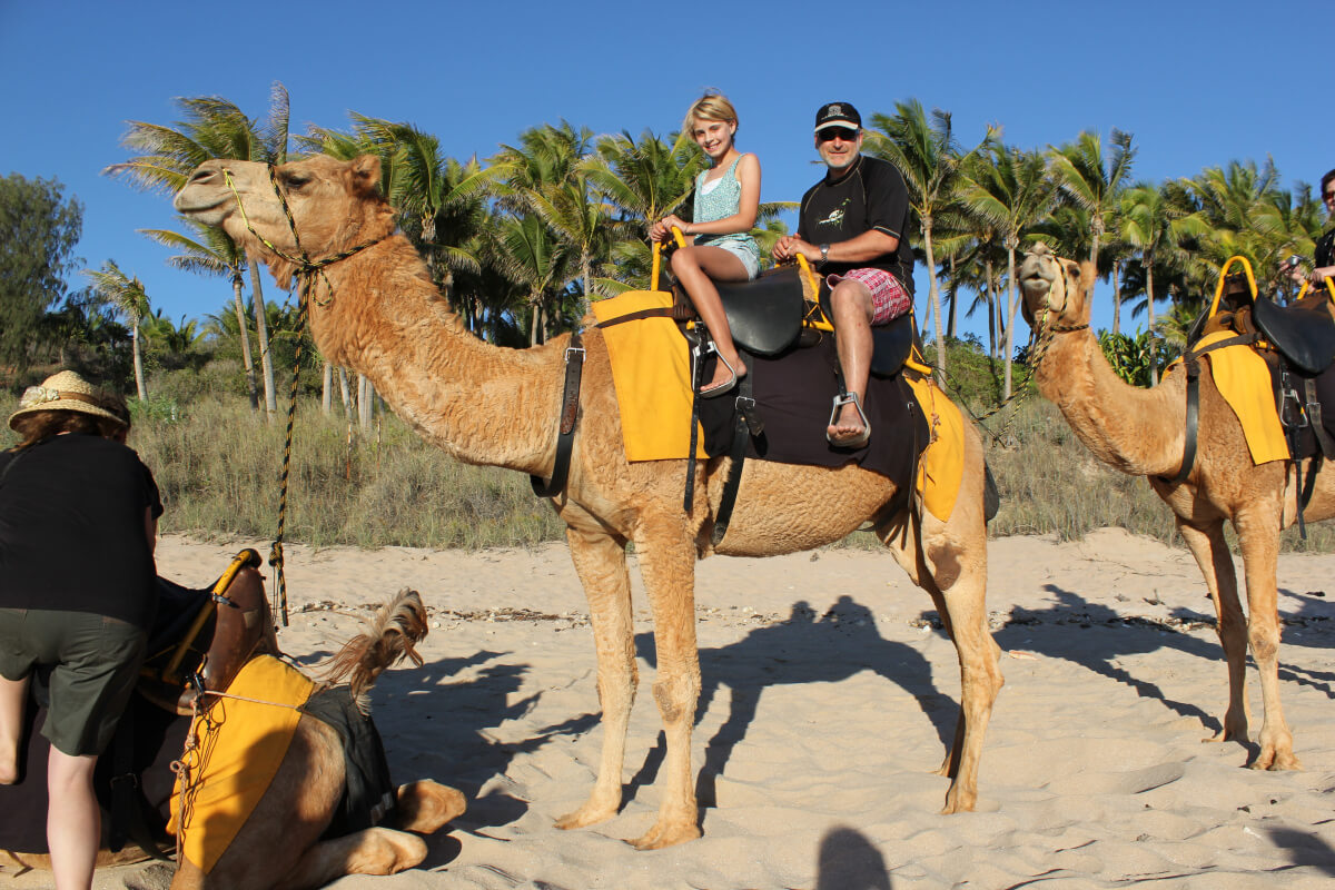 Camel Ride In Agadir Beach - Marocnyou